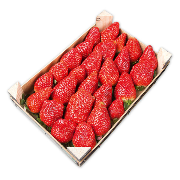 Bild 1 von River Valley Premium Premium Erdbeeren