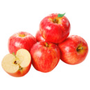 Bild 1 von Snack Äpfel