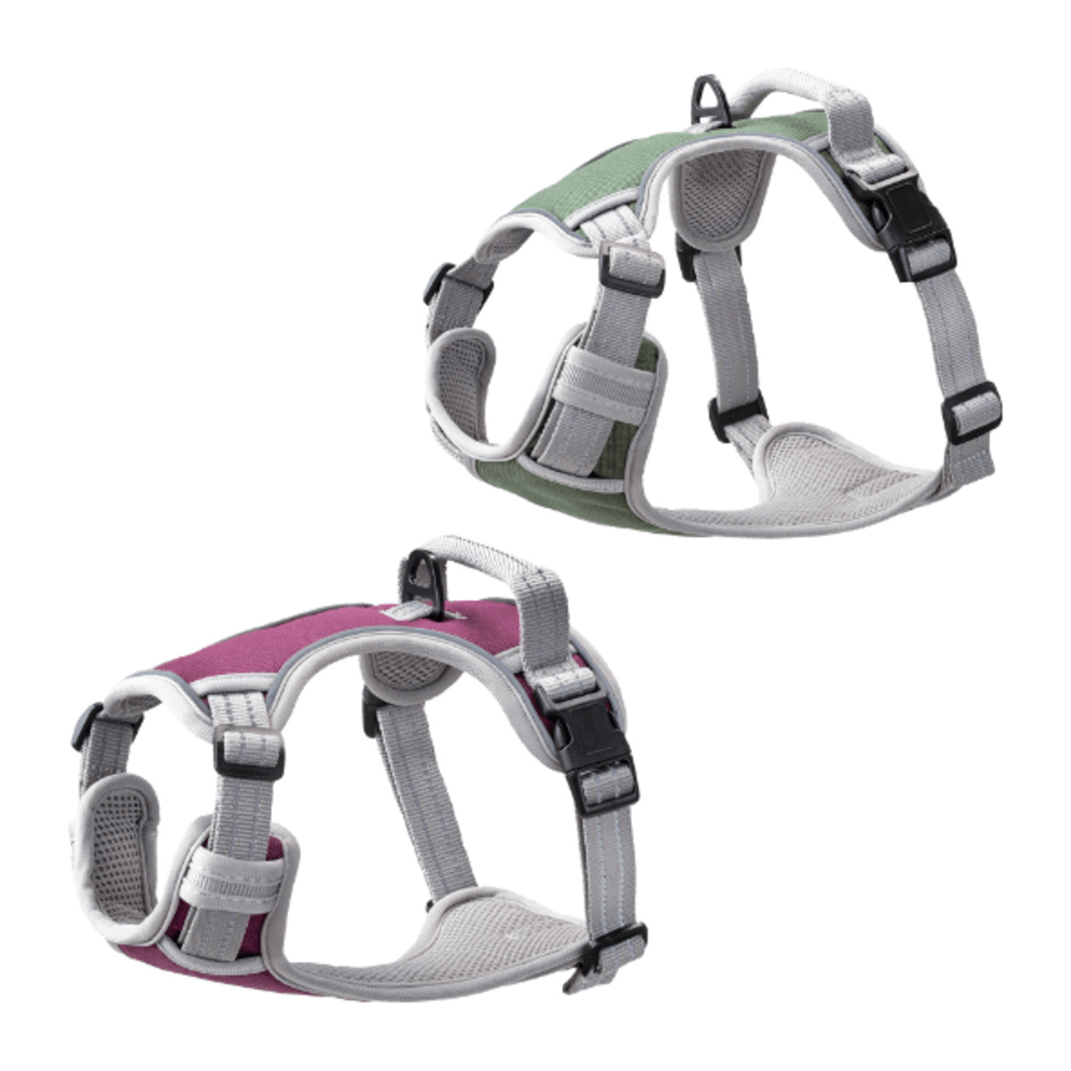 Bild 1 von ROMEO Outdoor-Hundegeschirr