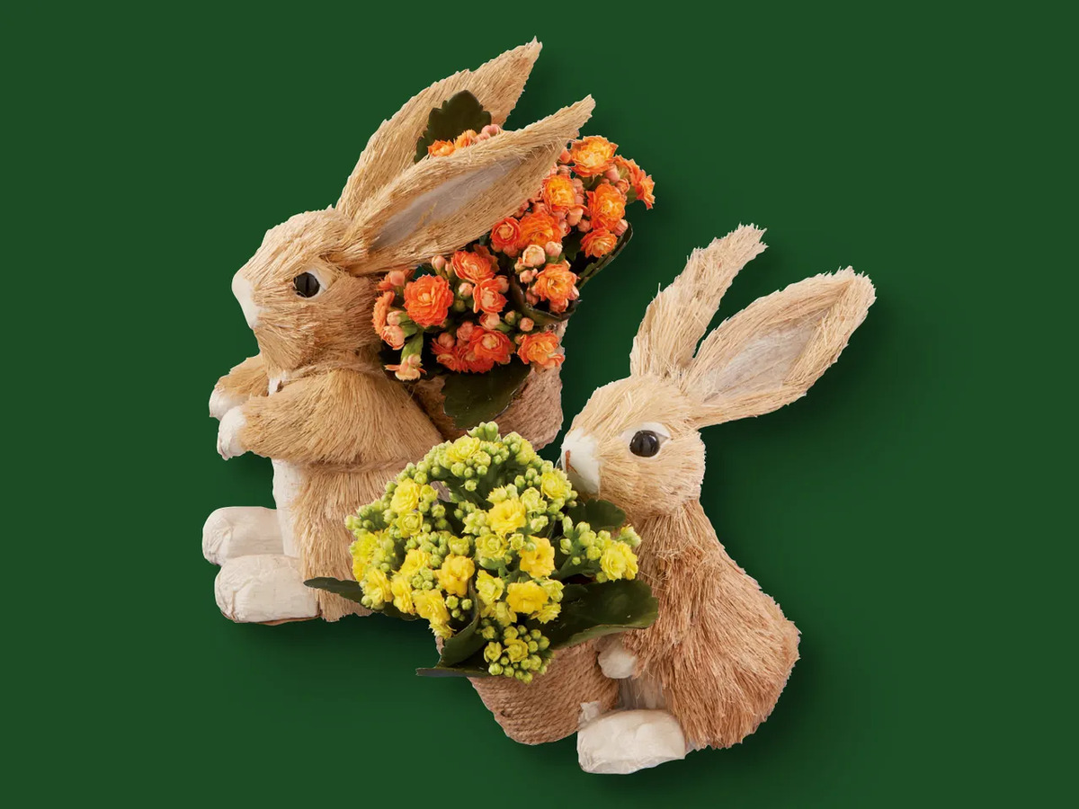 Bild 1 von Bepflanzter Osterhase, 
         Stück