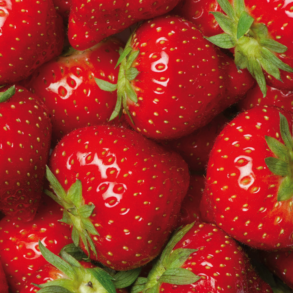 Bild 2 von River Valley Premium Premium Erdbeeren