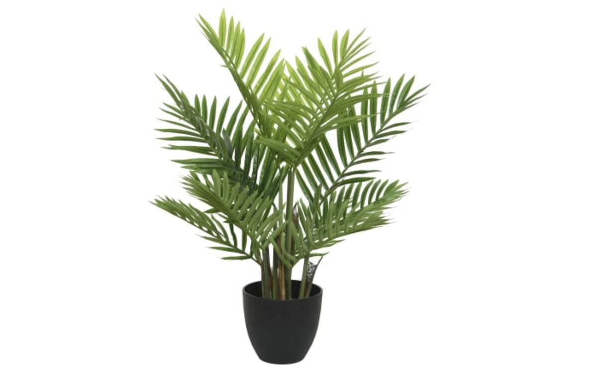 Bild 1 von Palme im Topf, grün/schwarz, 73 cm