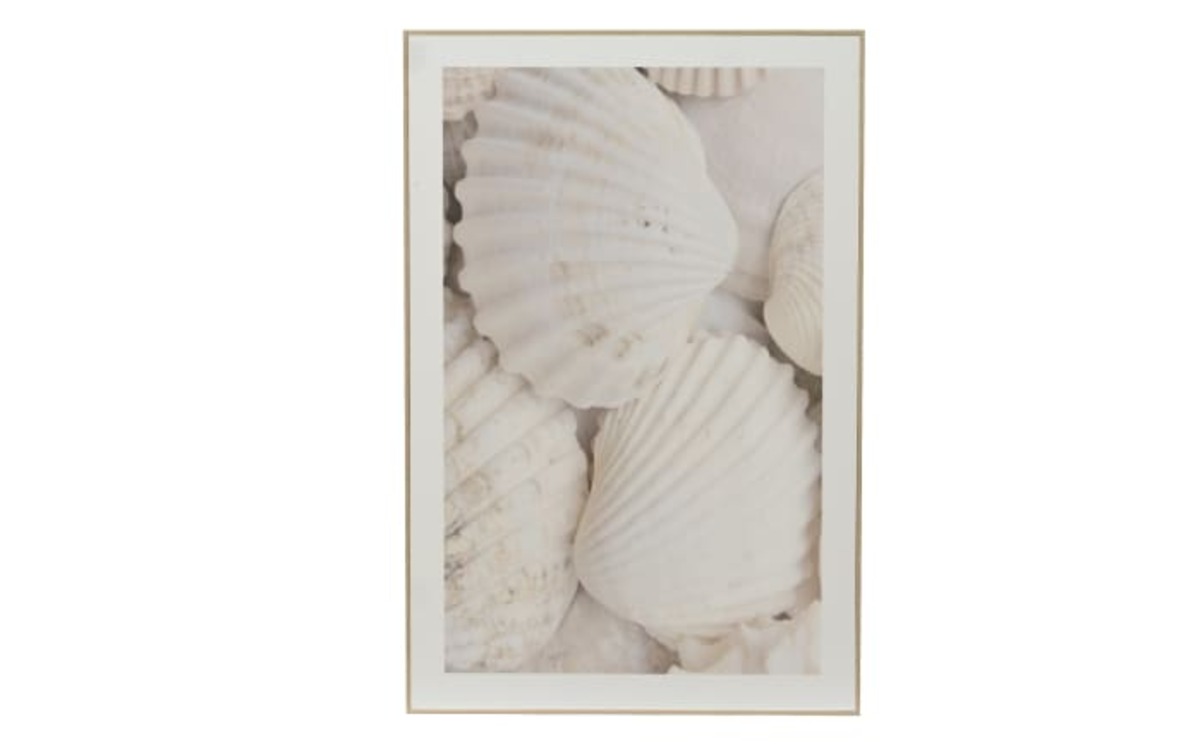 Bild 1 von Gemälde, gebrochenes weiß, Motiv Muschlen, 40 x 60 x 2,5 cm
