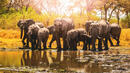 Bild 1 von Rundreisen Namibia, Botswana & Simbabwe: Kleingruppen-Rundreise von Windhoek bis Victoria Falls