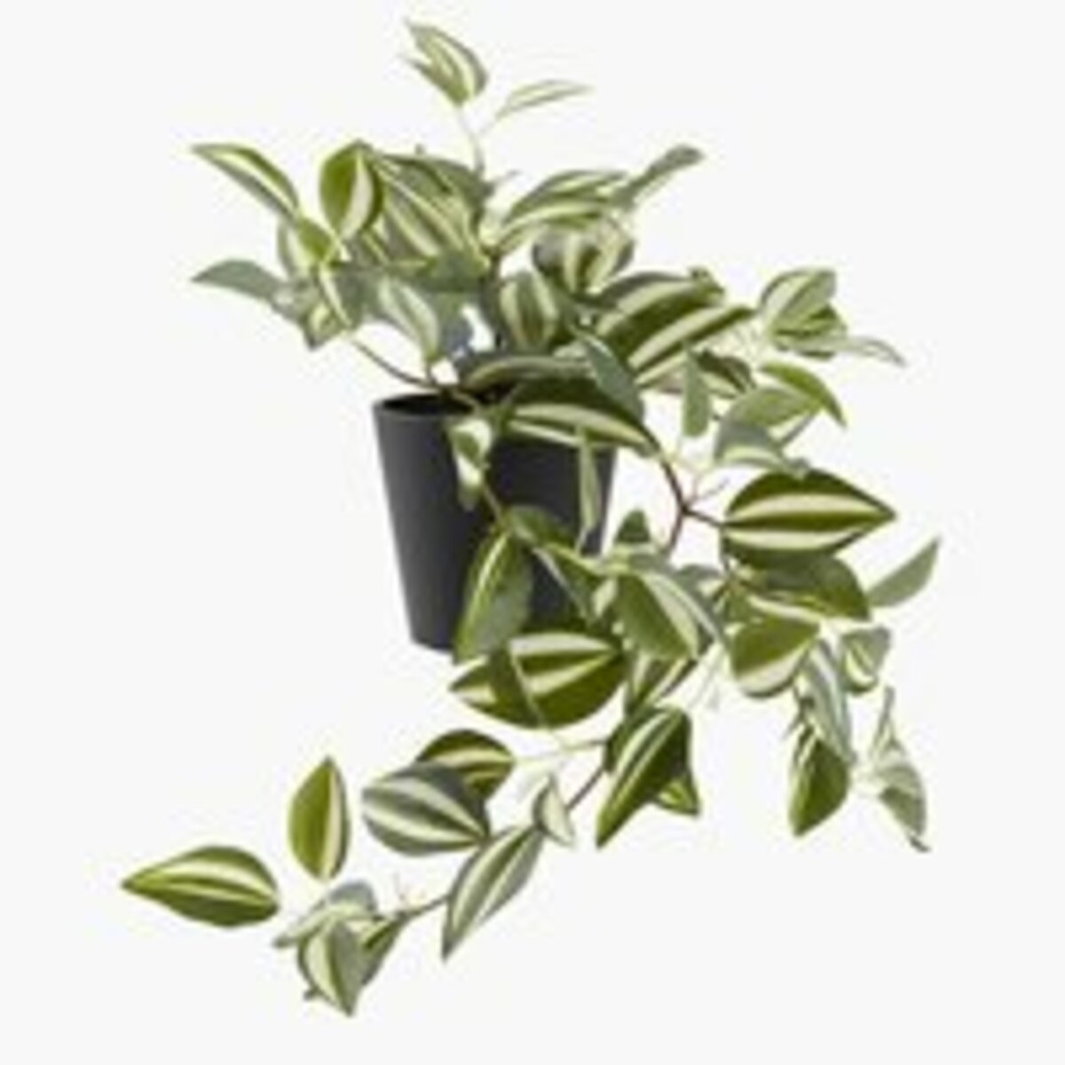 Bild 1 von Kunstpflanze ASGAR H24cm grün