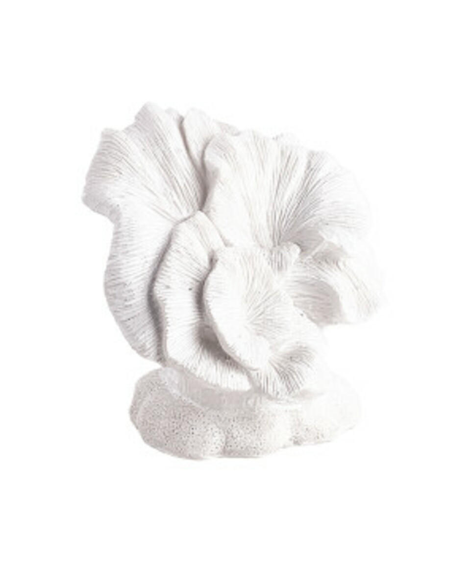 Bild 1 von Maritime Deko-Koralle, verschiedene Ausführungen, weiß