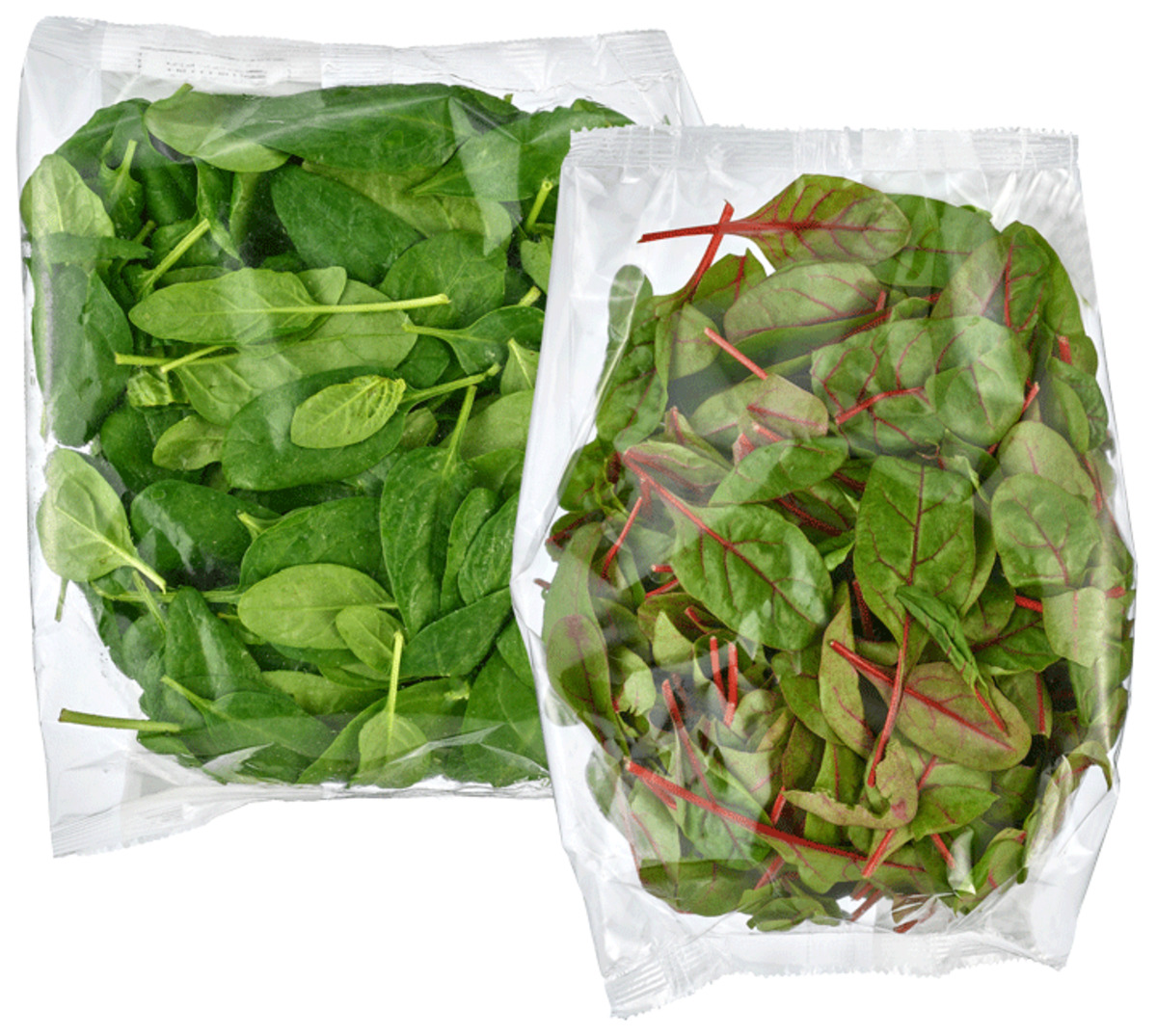 Bild 1 von Babyspinat oder -mangold