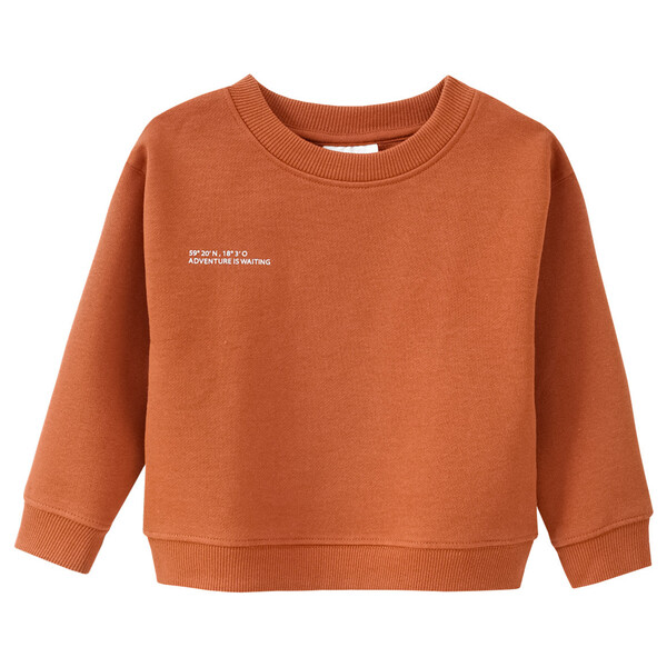 Bild 1 von Kinder Sweatshirt mit kleinem Print HELLBRAUN