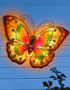 Bild 1 von GARDEN DREAM Solar-Deko-Schmetterling
