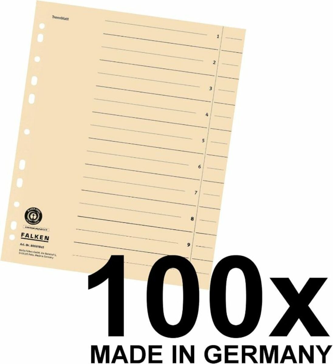 Bild 3 von Falken 100 Trennblätter 80001845 DIN-A4, 24x30cm, lochverstärkt, 180g/m² Karton, chamois