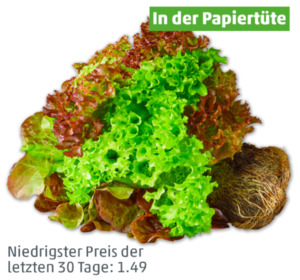 MARKTLIEBE Deutsche bunte Salate