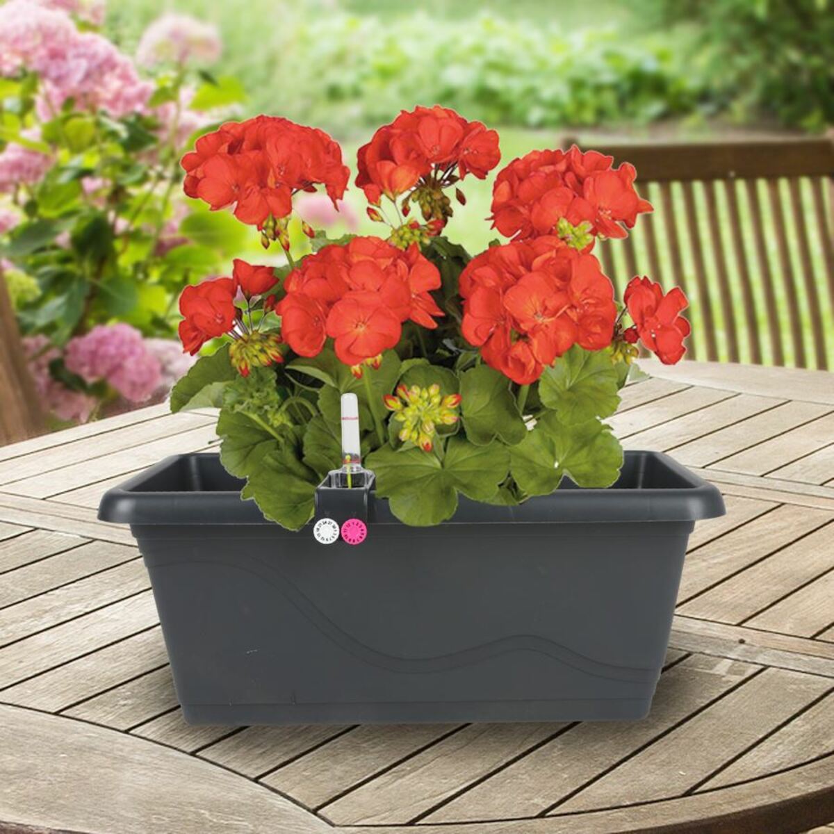 Bild 1 von Blumenkasten Extra Line mit Bewässerungssystem 38,5x16,5x20,5cm Anthrazit