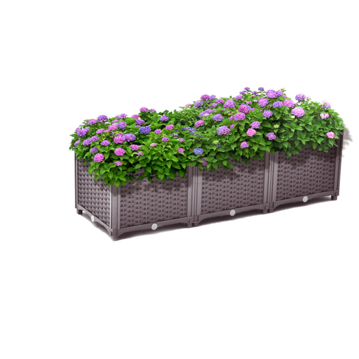 Bild 3 von HC Garten & Freizeit Hochbeet, ca. 120 x 40 x 38/30 cm - Braun