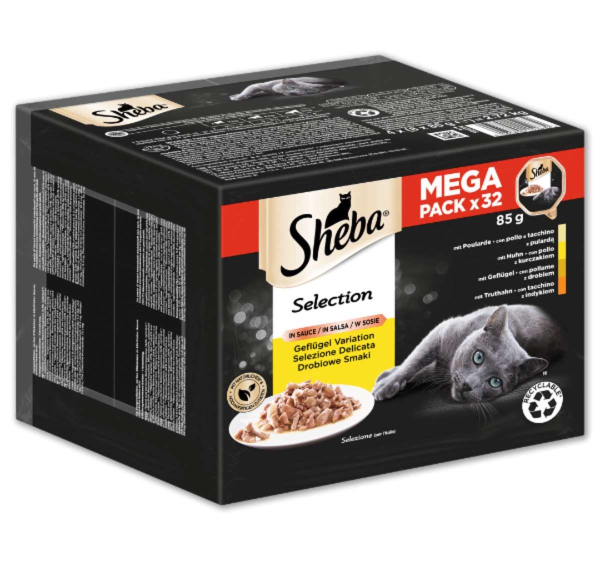 Bild 1 von SHEBA Selection*