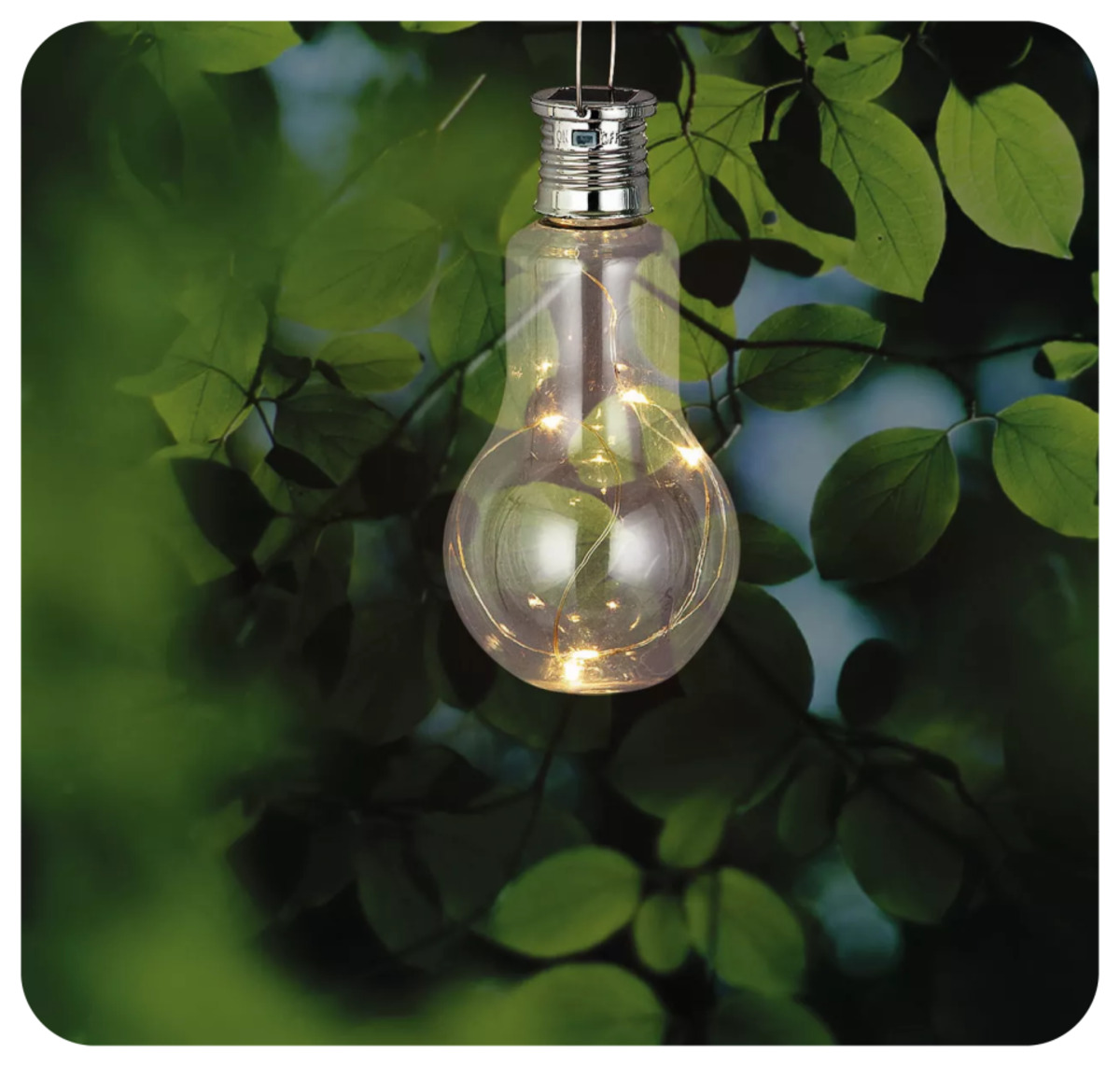 Bild 1 von Solar-Glühbirne