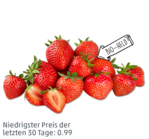 NATURGUT Bio-Erdbeeren