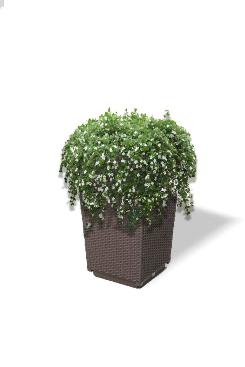 Bild 2 von HC Garten & Freizeit Hochbeet