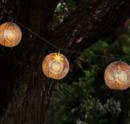 Bild 1 von LED-Solar-Lichterkette »Oriental«