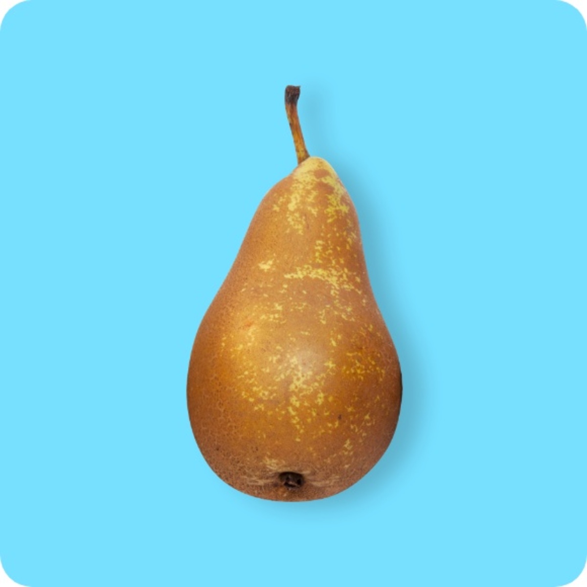 Bild 1 von Birnen Conference, Ursprung: Belgien / Niederlande