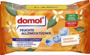 domol Feuchte Allzwecktücher Orange-Grapefruit Spar-Pack
