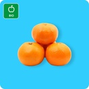 Bild 1 von GUT BIO Bio-Mandarinen, Ursprung: Spanien
