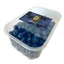 Bild 1 von Golden B Blueberries Kultur-Heidelbeeren