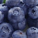 Bild 2 von Golden B Blueberries Kultur-Heidelbeeren