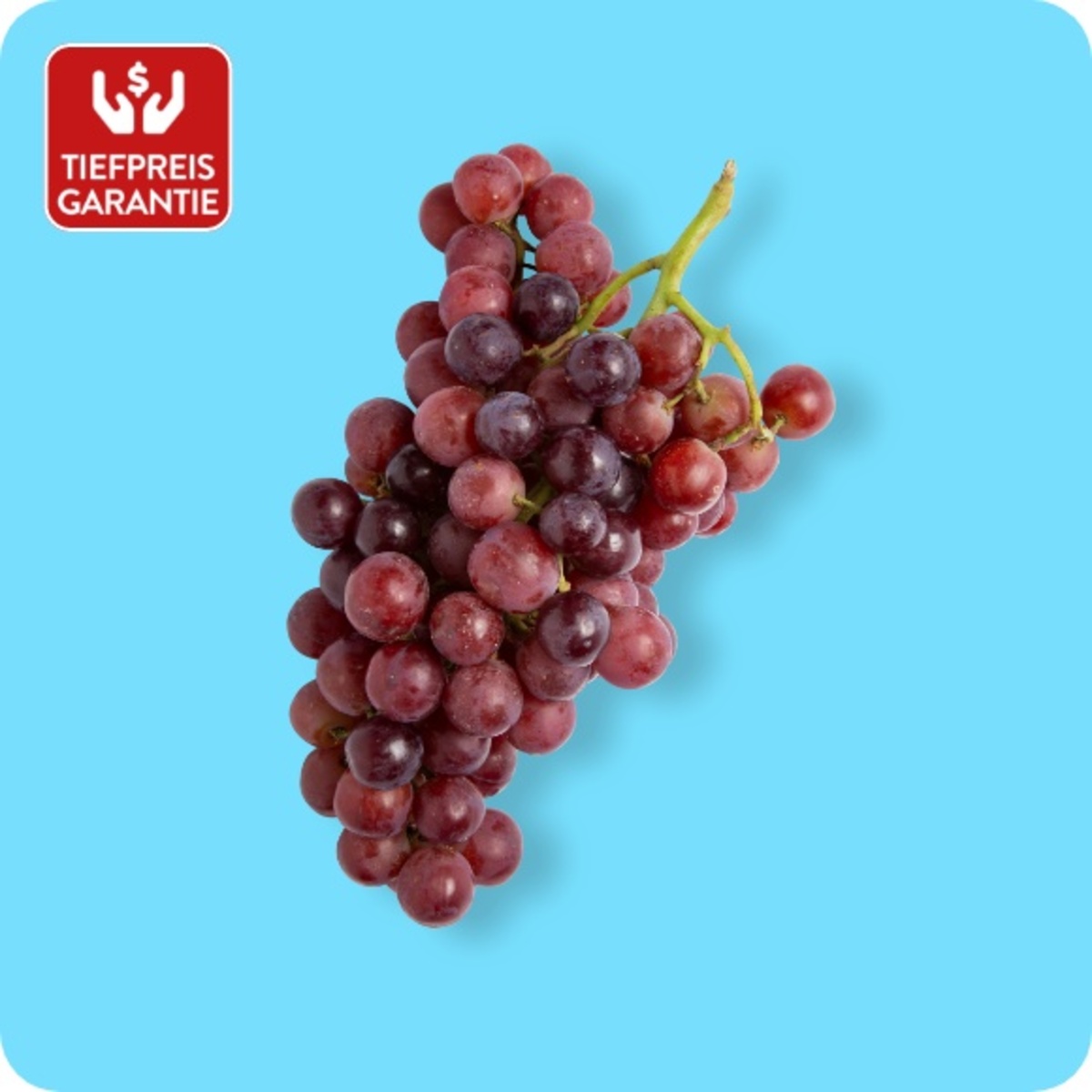 Bild 1 von KLEINE SCHÄTZE Premium-Trauben, dunkel, Ursprung: siehe Etikett