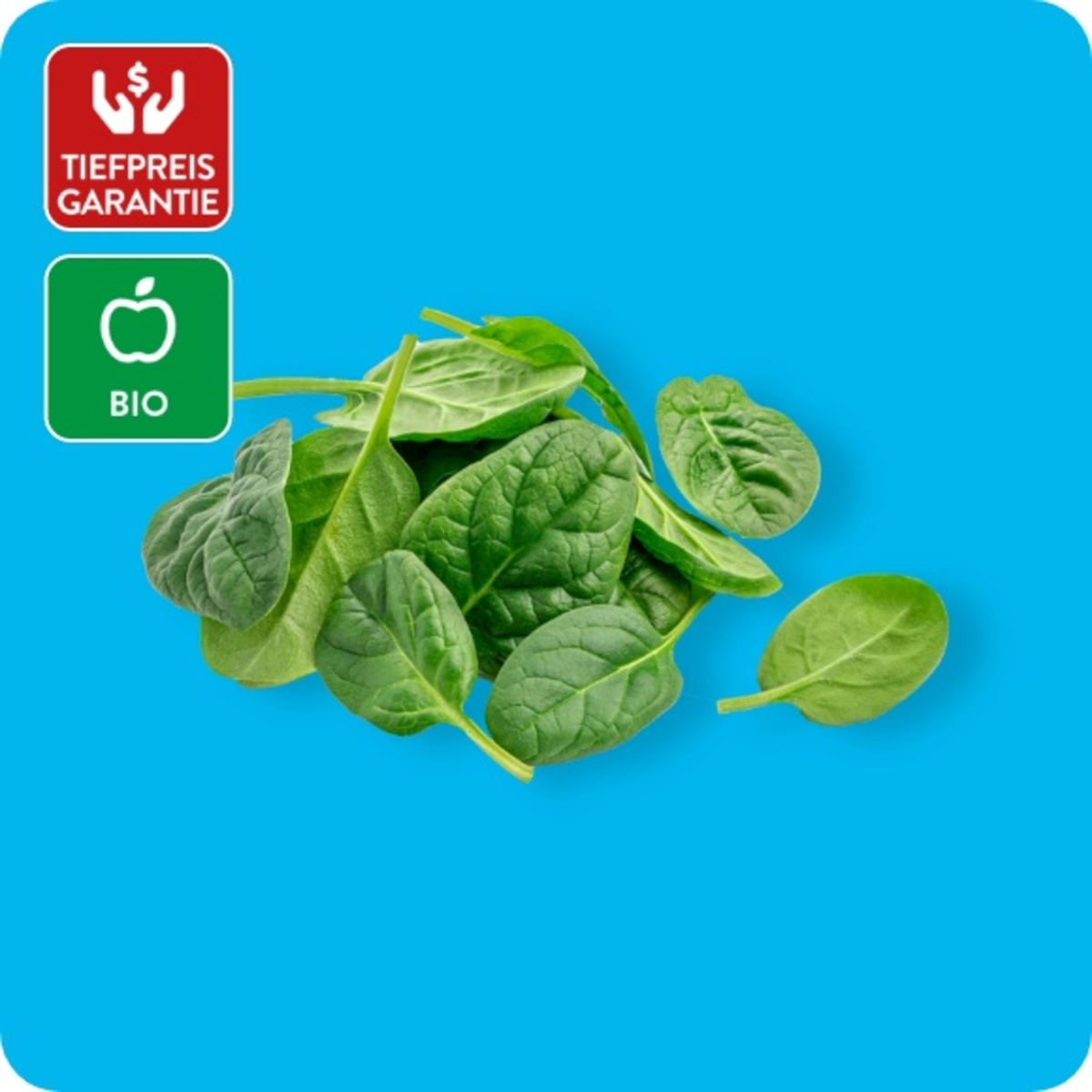 Bild 1 von GUT BIO Bio-Baby-Spinat, Ursprung: Spanien / Italien