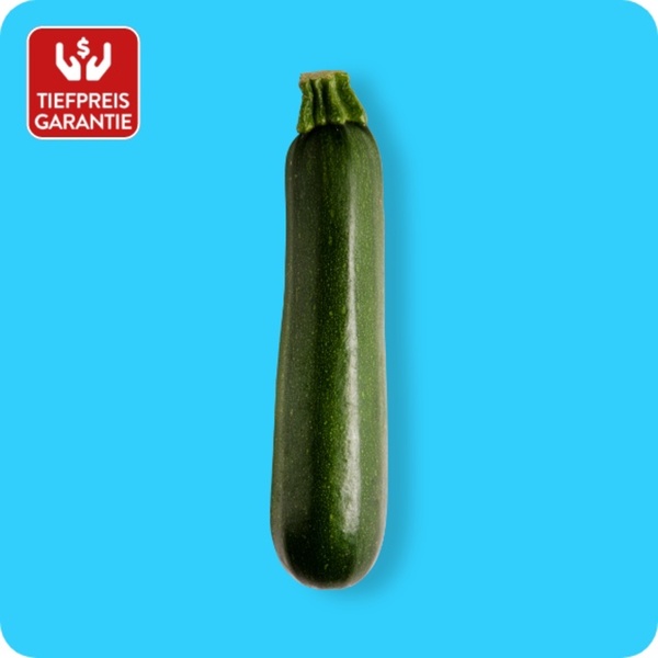 Bild 1 von Zucchini, Ursprung: Spanien