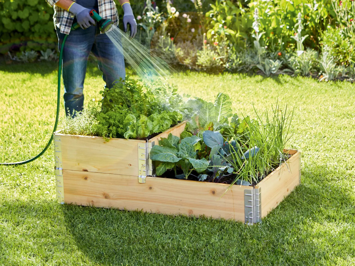 52+ Hochbeet Metall Lidl, Alles für dein projekt in haus &amp; garten!