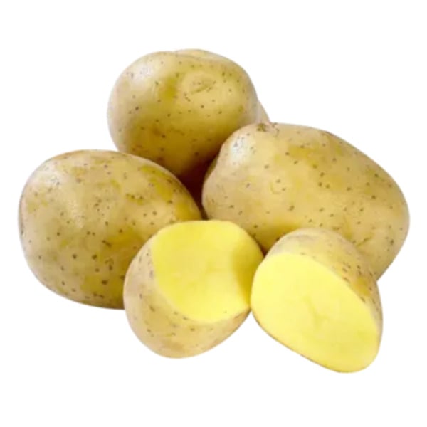 Bild 1 von Ägypten
Speisefrühkartoffeln