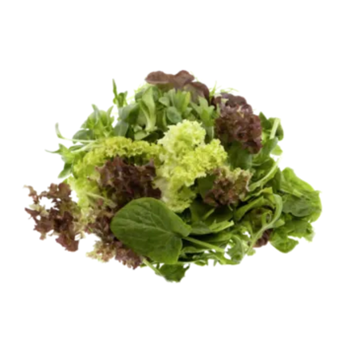 Bild 1 von Italien
Pflücksalat oder Rucola