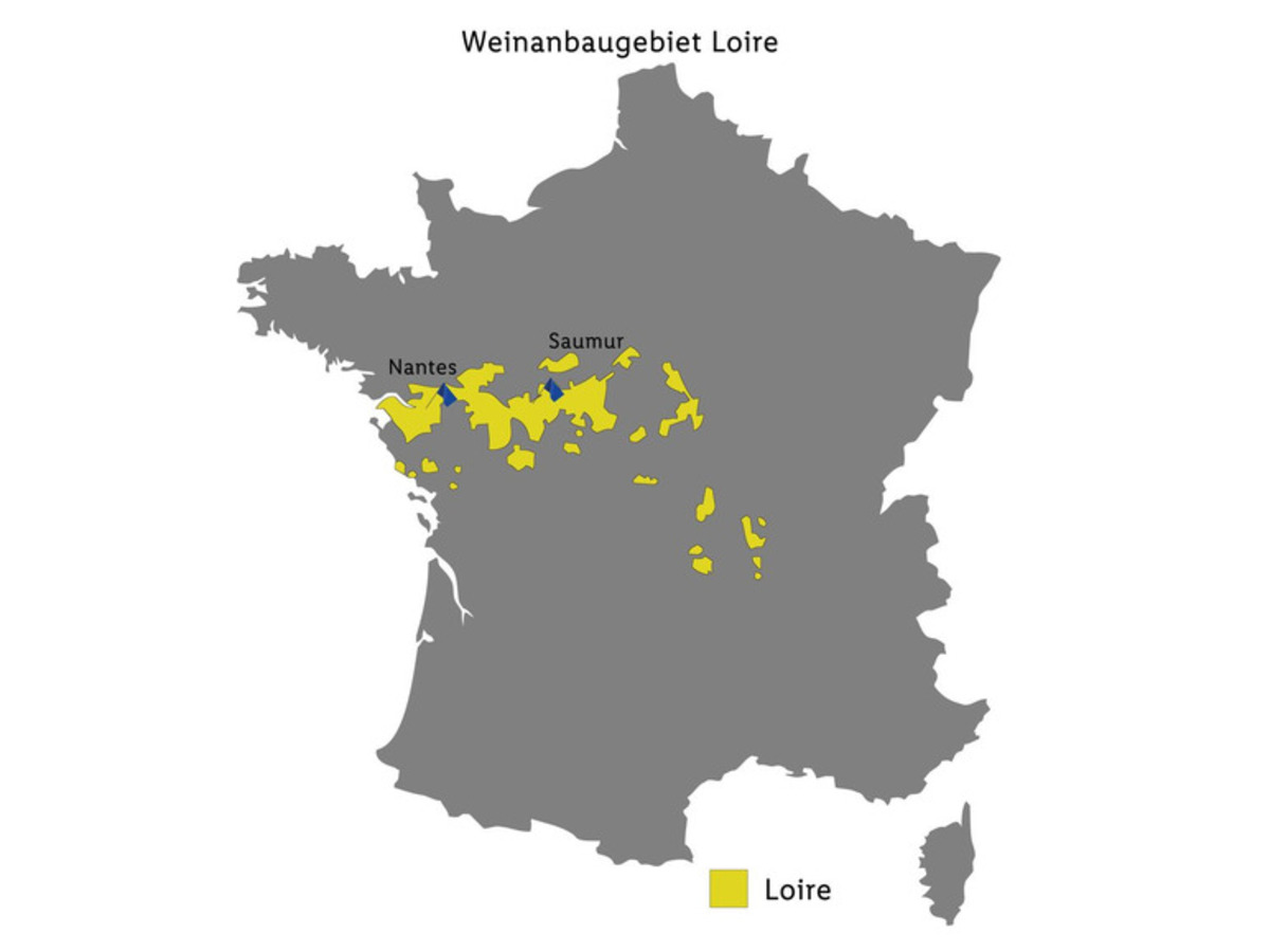 Bild 3 von Crémant de Loire AOC brut, Schaumwein