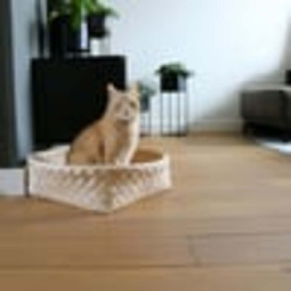 Bild 2 von D&D Home Kuschelbett Bodhi dunkelgrau 52x52x15cm