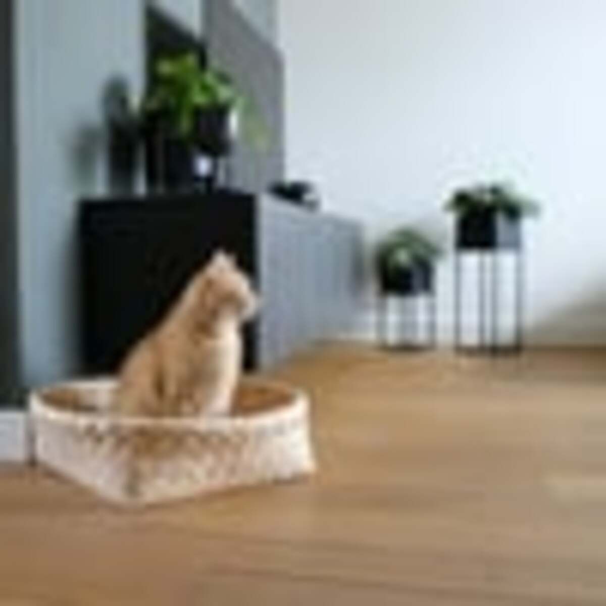 Bild 3 von D&D Home Kuschelbett Bodhi dunkelgrau 52x52x15cm