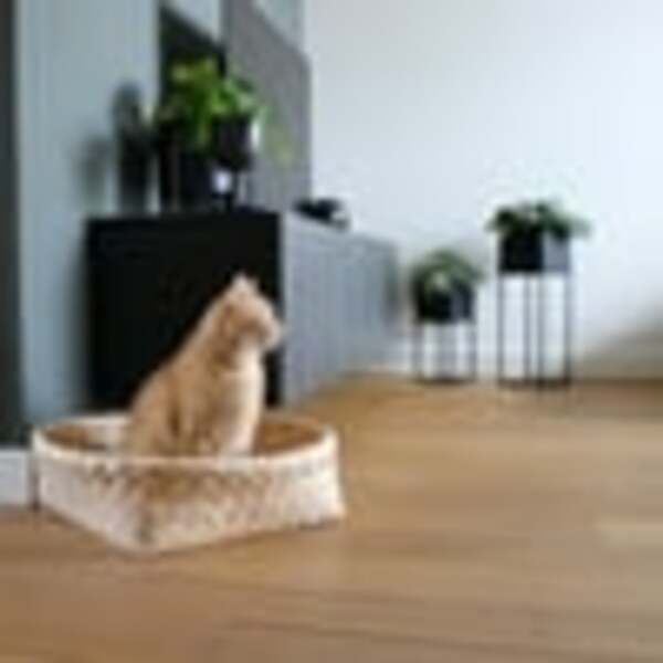 Bild 3 von D&D Home Kuschelbett Bodhi dunkelgrau 52x52x15cm