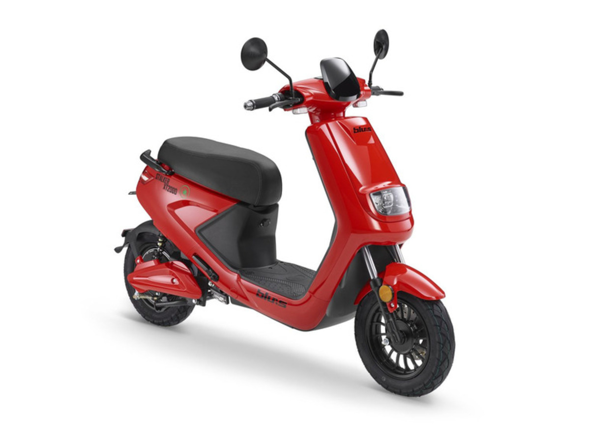 Bild 1 von blu:s Elektroroller Stalker XT2000 - 900 Watt Motor, max. 25 km/h