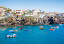 Bild 3 von Blütenzauber auf Madeira  8-tägige Flugreise nach Madeira