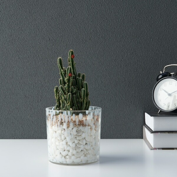 Bild 3 von ULLSYREN  Übertopf, Punkte weiß 12 cm