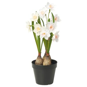 FEJKA  Topfpflanze, künstlich, drinnen/draußen/Narzisse weiß 12 cm