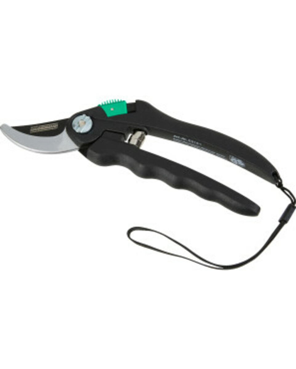 Bild 1 von Brüder Mannesmann Bypass-Gartenschere, ca. 20 x 6 x 2 cm, schwarz