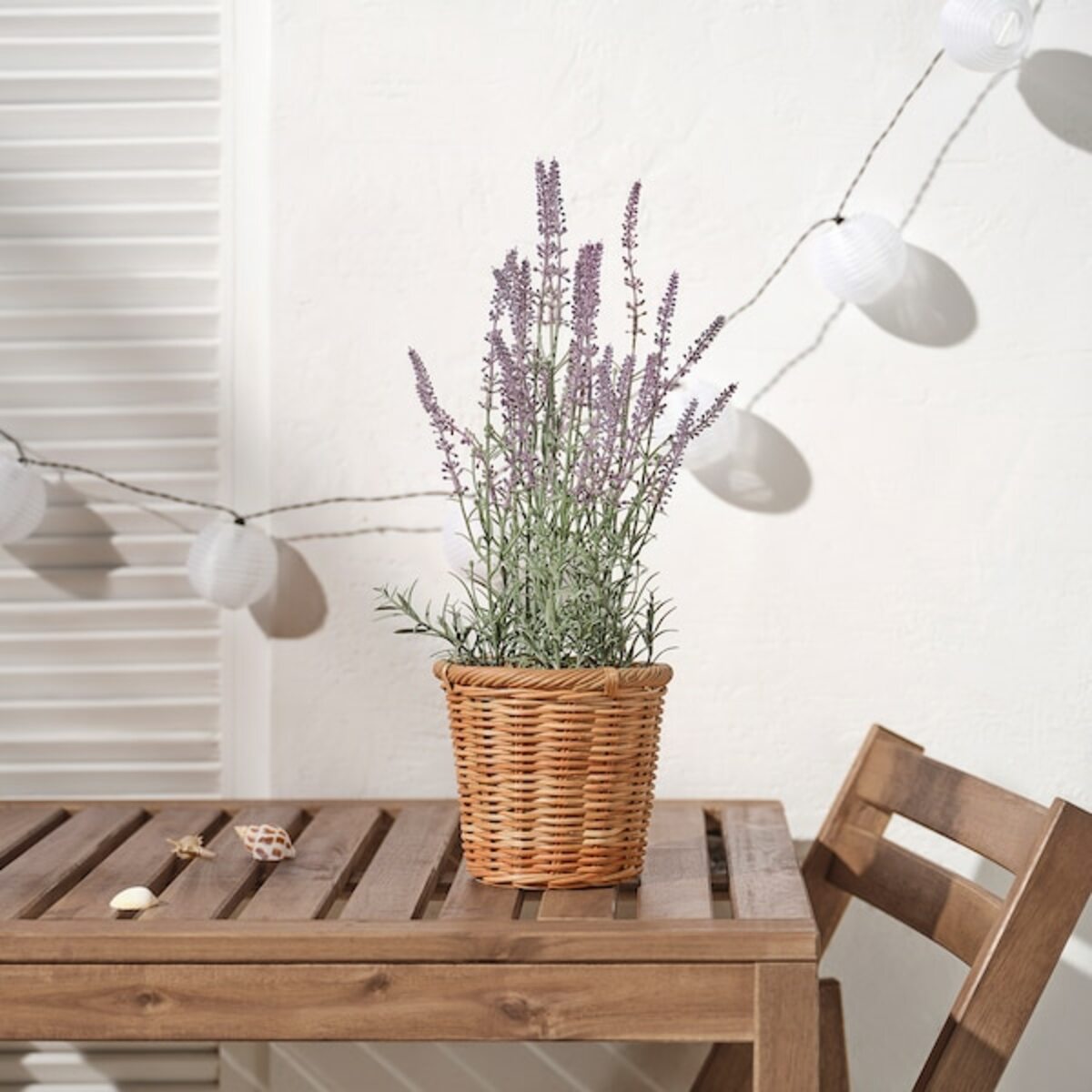 Bild 3 von FEJKA  Topfpflanze, künstlich, drinnen/draußen/Lavendel lila 12 cm