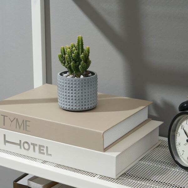 Bild 4 von BÄCKDRÅG  Übertopf, gepunktete Fläche/weiß grau 6 cm