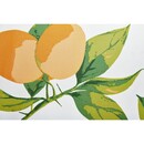 Bild 4 von Sonnenschutz Lemon Print 170 cm x 300 cm x 224 cm