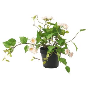 FEJKA  Topfpflanze, künstlich, drinnen/draußen/Rose hellrosa 12 cm