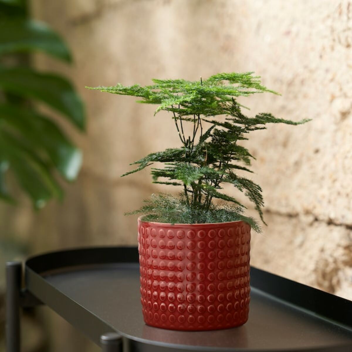 Bild 4 von CHIAFRÖN  Übertopf, drinnen/draußen rot 9 cm