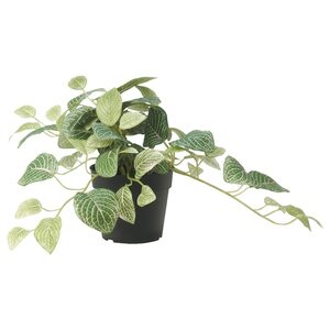 FEJKA  Topfpflanze, künstlich, drinnen/draußen Silbernetzblatt/hängend 9 cm