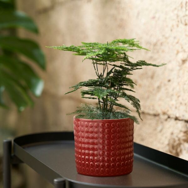 Bild 4 von CHIAFRÖN  Übertopf, drinnen/draußen rot 9 cm