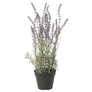 FEJKA  Topfpflanze, künstlich, drinnen/draußen/Lavendel lila 12 cm